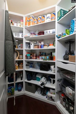 2119 Harvestwood Lane, Chapin, SC 29036