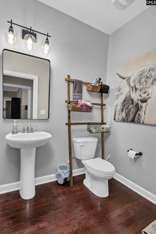 2119 Harvestwood Lane, Chapin, SC 29036