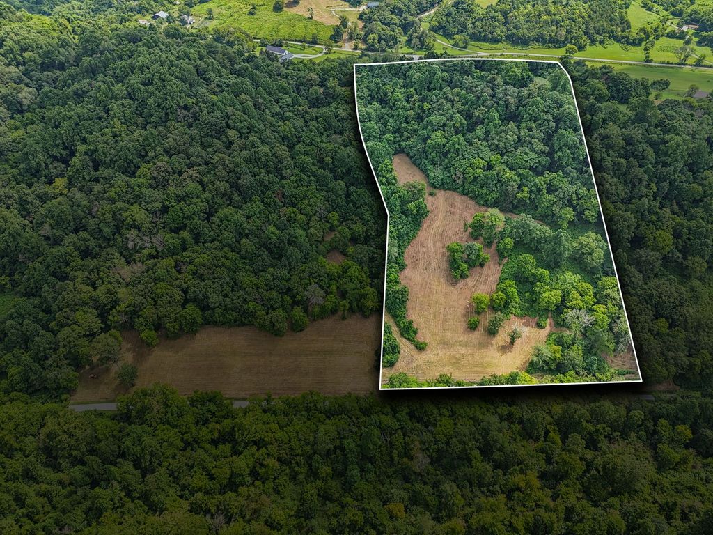 10B Puncheon Camp Ln, Bell Buckle, TN 37020
