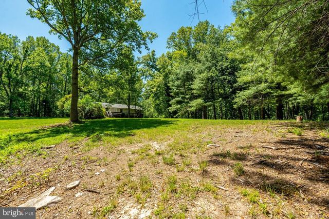 4645 MORGANS BLUFF DR, Marshall, VA 20115