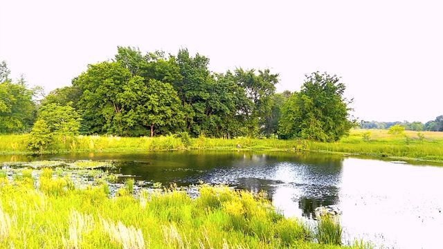 3950 Fm 47, Wills Point, TX 75169