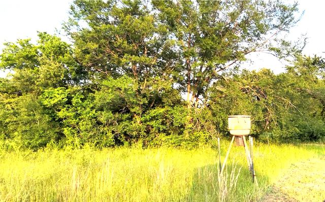 3950 Fm 47, Wills Point, TX 75169