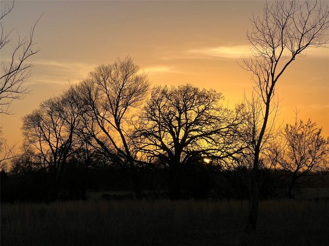 3950 Fm 47, Wills Point, TX 75169