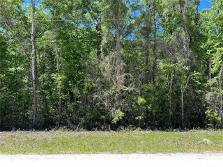 TBD NE 642ND STREET, Old Town, FL 32680