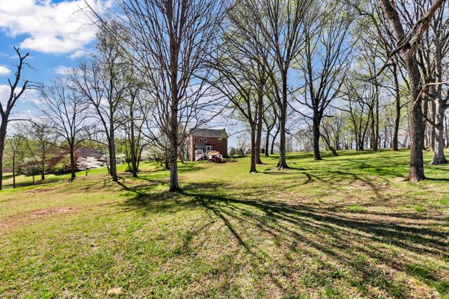 930 Doe Run Ct, Adams, TN 37010