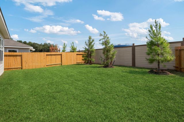 10374 Red Cardinal Drive, Cleveland, TX 77328