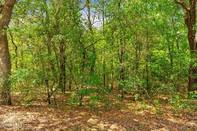 000 Quail Ridge Drive, Chipley, FL 32428
