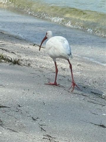 4530 PINEBROOK CIRCLE 301, Bradenton, FL 34209