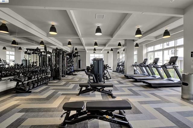 3698 Vision Common 221, Fremont, CA 94538