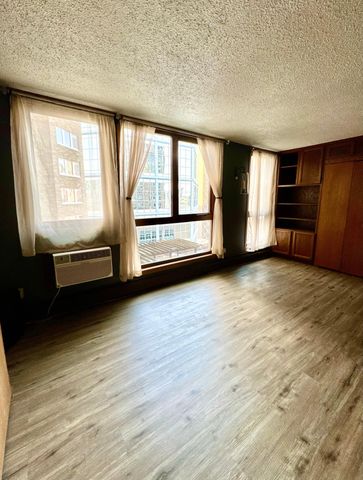 433 S 7th Street 1711, Minneapolis, MN 55415