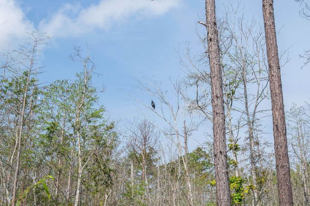 184 Blue Cypress Trl, St Augustine, FL 32084