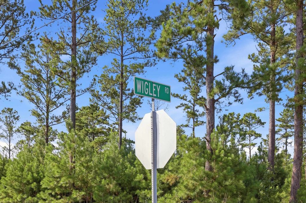 2545 Wigley Rd., Loris, SC 29569 — photo 3
