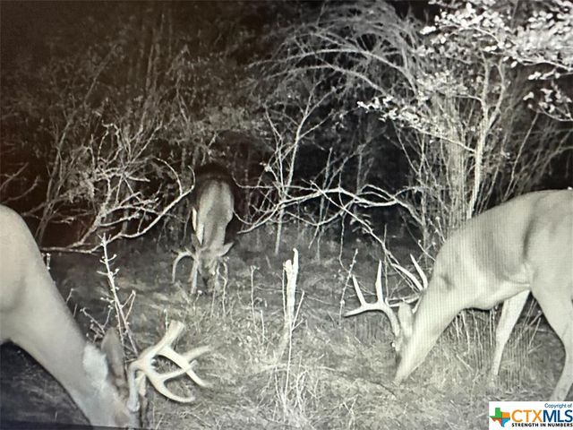 13004 FM 3353, Kingsbury, TX 78638