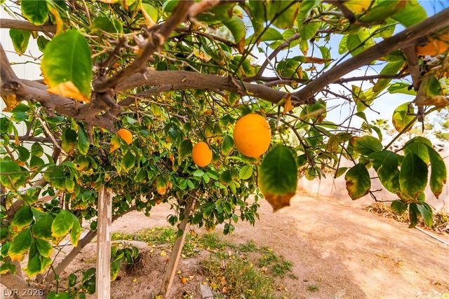 3580 Lost Hills Drive, Las Vegas, NV 89122