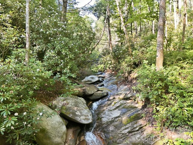 17 Sunny Morning Court, Hendersonville, NC 28792