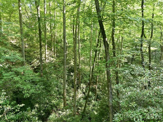17 Sunny Morning Court, Hendersonville, NC 28792