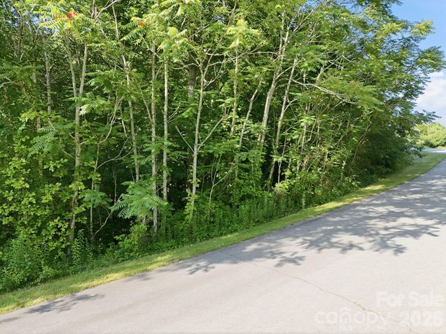 17 Sunny Morning Court, Hendersonville, NC 28792