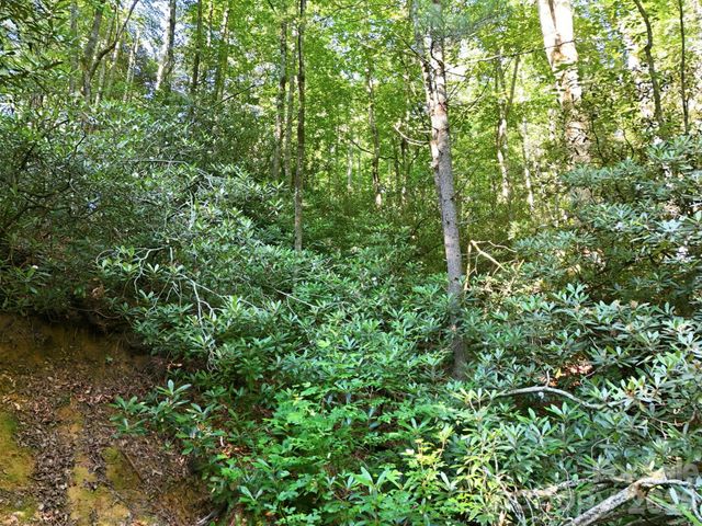 17 Sunny Morning Court, Hendersonville, NC 28792