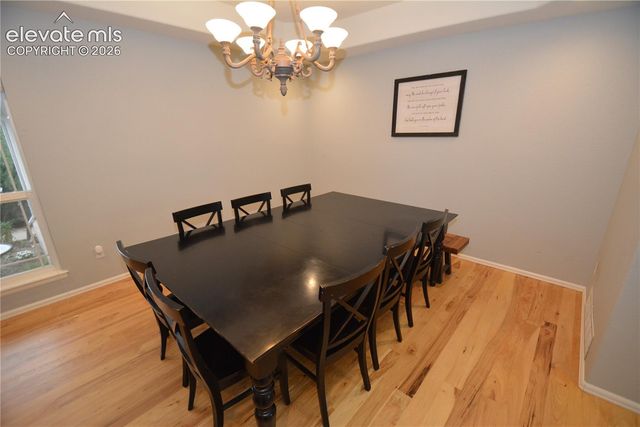 1605 Capadaro Court, Monument, CO 80132