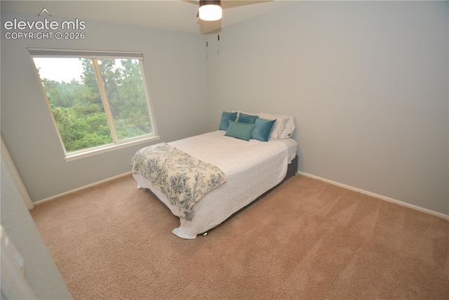 1605 Capadaro Court, Monument, CO 80132