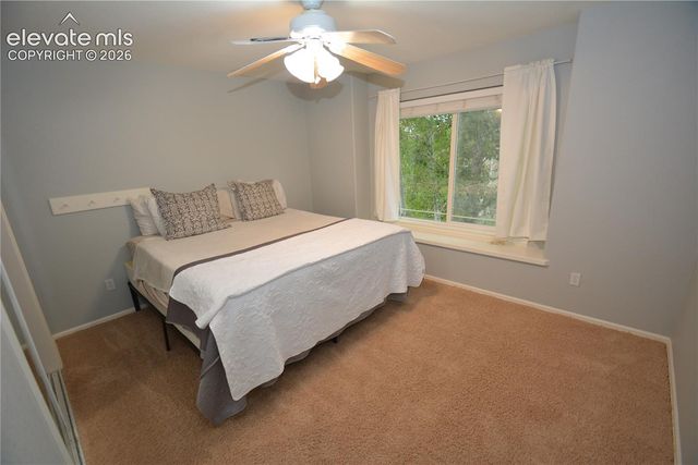 1605 Capadaro Court, Monument, CO 80132