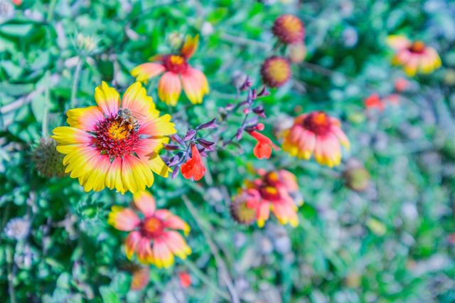 2507 Hillside Court, Sugar Land, TX 77479