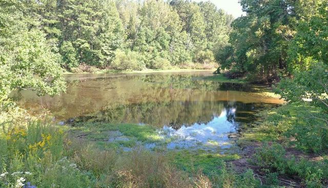 1148 Morgantown Road, Mccomb, MS 39648