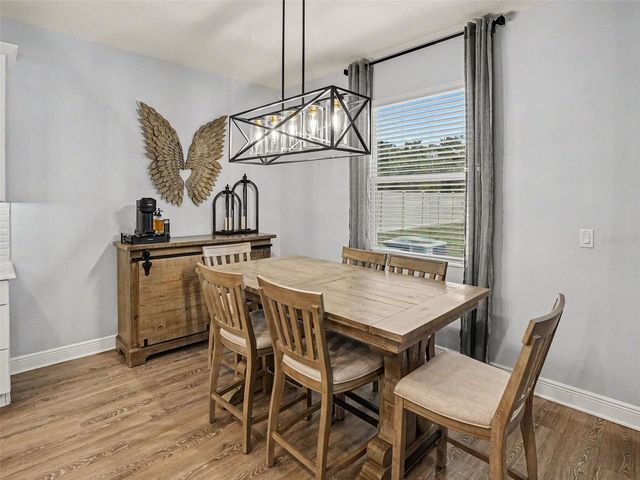 5270 OBSIDIAN GATE DRIVE, Mount Dora, FL 32757