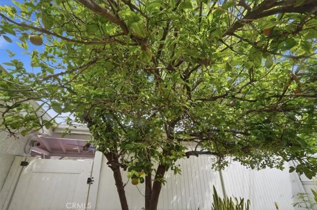 11222 Wakefield, Garden Grove, CA 92840