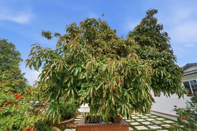 11222 Wakefield, Garden Grove, CA 92840