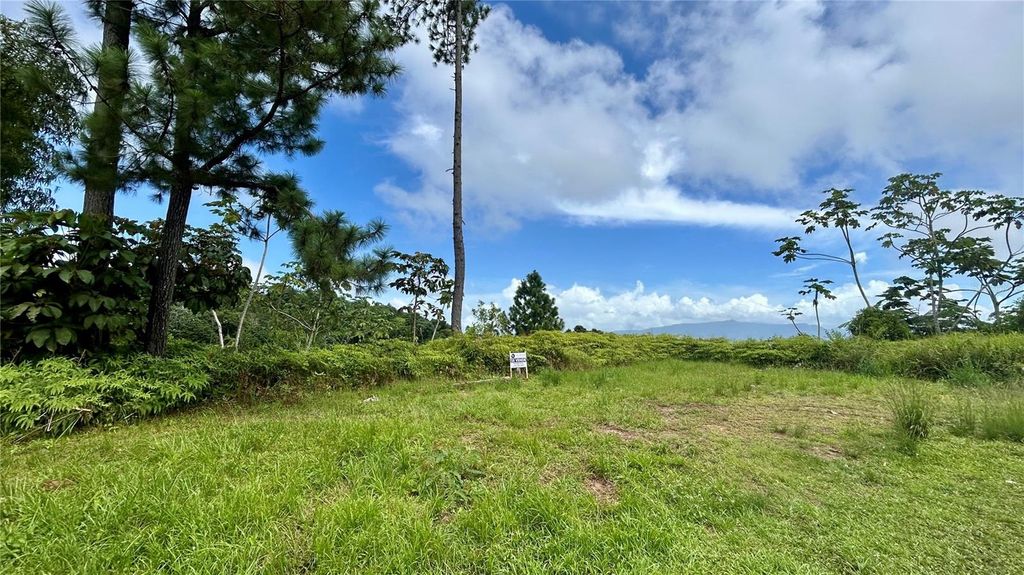 Image 3 of property listing at CARR 917, KM 5.9, B0 MONTONES, Las Piedras, PR 00771