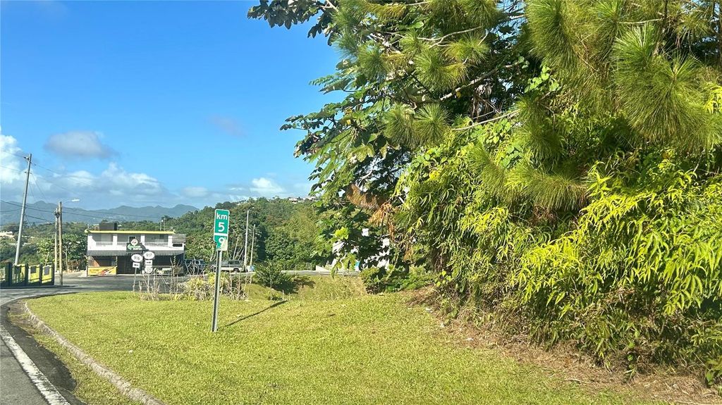 Image 4 of property listing at CARR 917, KM 5.9, B0 MONTONES, Las Piedras, PR 00771