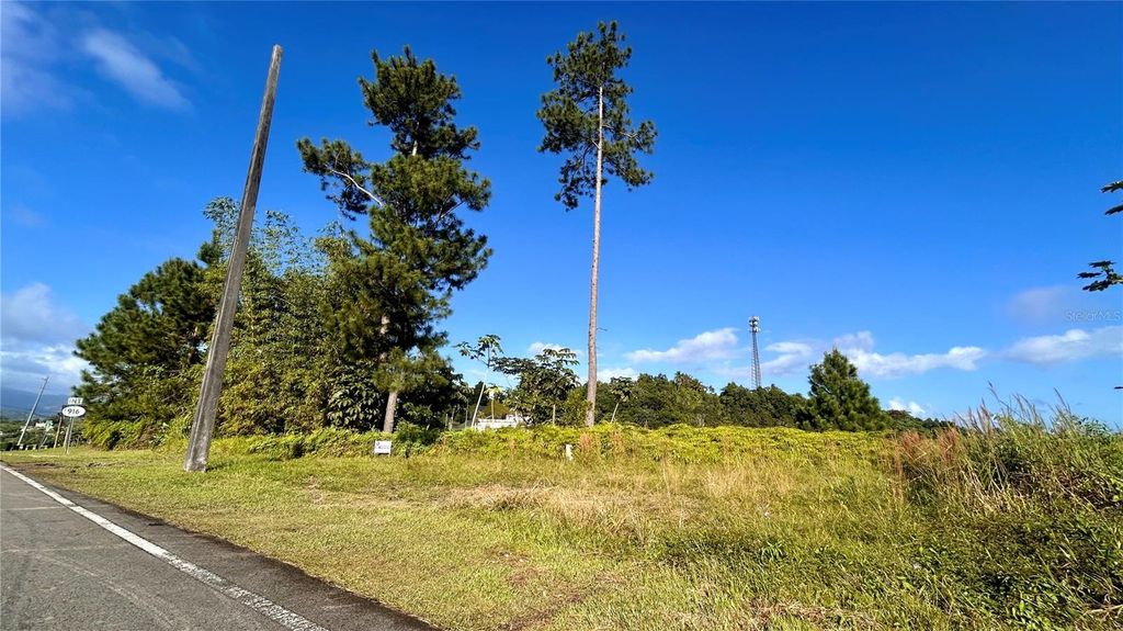 Image 5 of property listing at CARR 917, KM 5.9, B0 MONTONES, Las Piedras, PR 00771