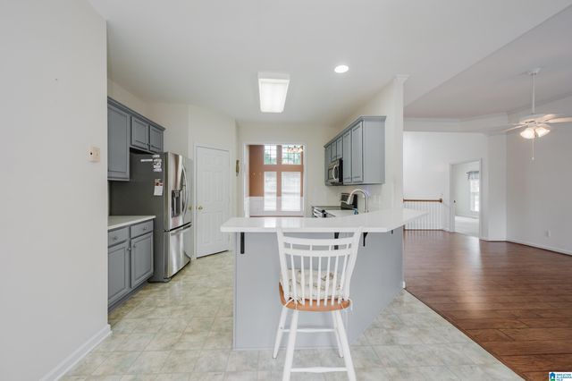 209 CAMELLIA DRIVE, Chelsea, AL 35043