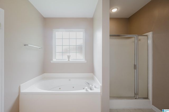 209 CAMELLIA DRIVE, Chelsea, AL 35043