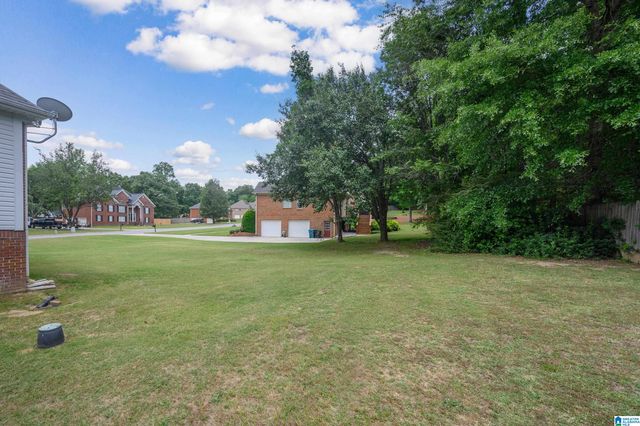 209 CAMELLIA DRIVE, Chelsea, AL 35043