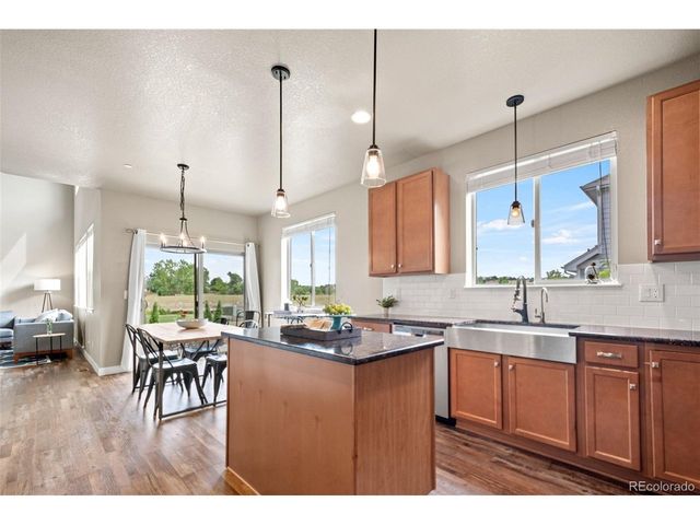 23300 York Ave, Parker, CO 80138