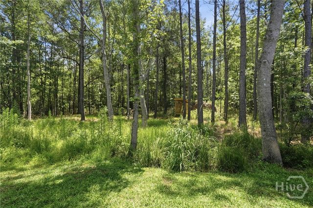 19 Serenity Point, Savannah, GA 31419