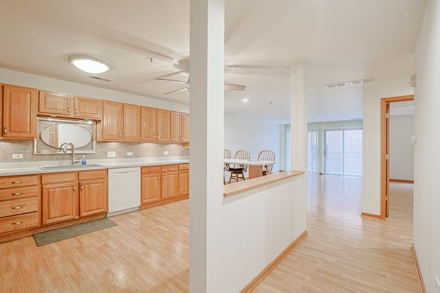 27 E Hattendorf Avenue 213, Roselle, IL 60172