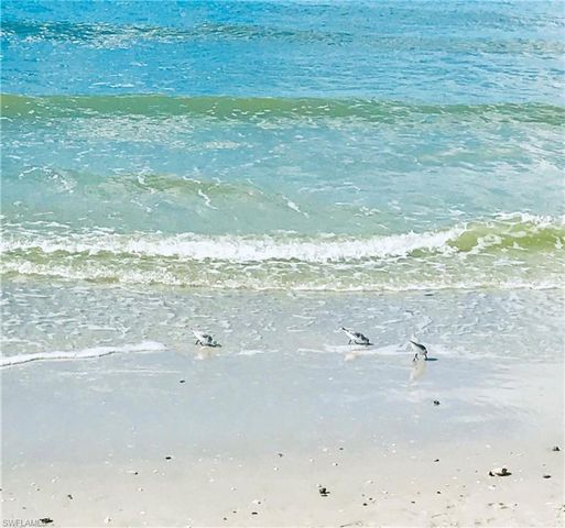 4330 Chantelle DR # F105, Naples, FL 34112