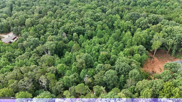 LOT 5 Fowler Creek Drive, Cleveland, GA 30528