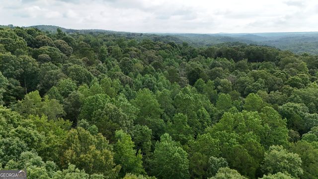 LOT 5 Fowler Creek Drive, Cleveland, GA 30528