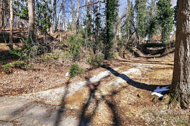 110 Pine Street, Tryon, NC 28782