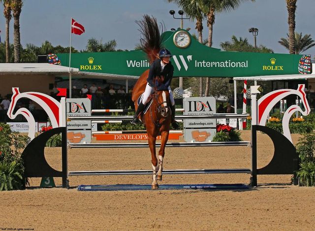 14564 Rolling Rock Place, Wellington, FL 33414