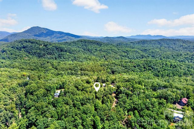 000 Buffalo Shoals Road, Lake Lure, NC 28746