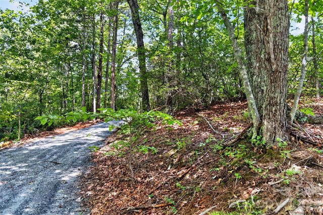 000 Buffalo Shoals Road, Lake Lure, NC 28746