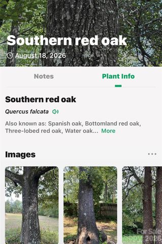 000 Buffalo Shoals Road, Lake Lure, NC 28746