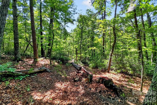000 Buffalo Shoals Road, Lake Lure, NC 28746