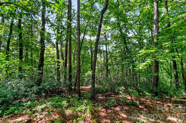 000 Buffalo Shoals Road, Lake Lure, NC 28746