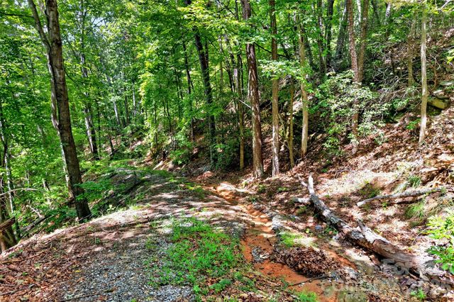 000 Buffalo Shoals Road, Lake Lure, NC 28746